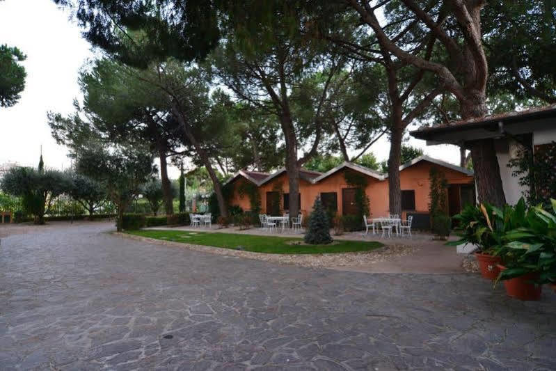 Antica Palmieri
