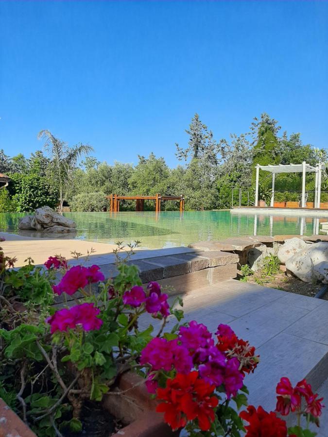 Hotel Antica Palmieri 3*